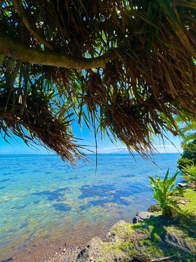 O'Coco Bungalow- Breathtaking Waterfront Views, Endless Memories Paea Zewnętrze zdjęcie