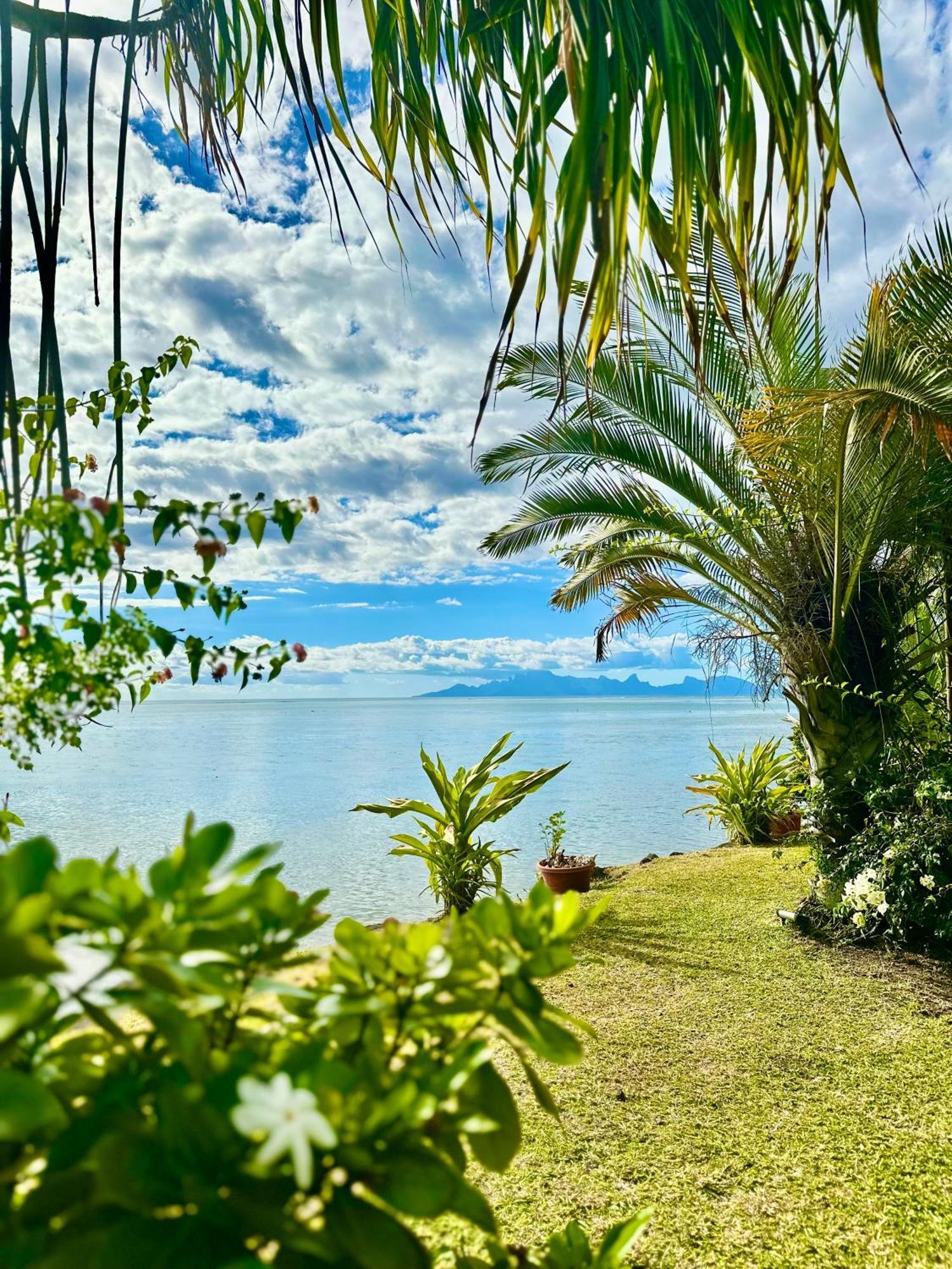 O'Coco Bungalow- Breathtaking Waterfront Views, Endless Memories Paea Zewnętrze zdjęcie
